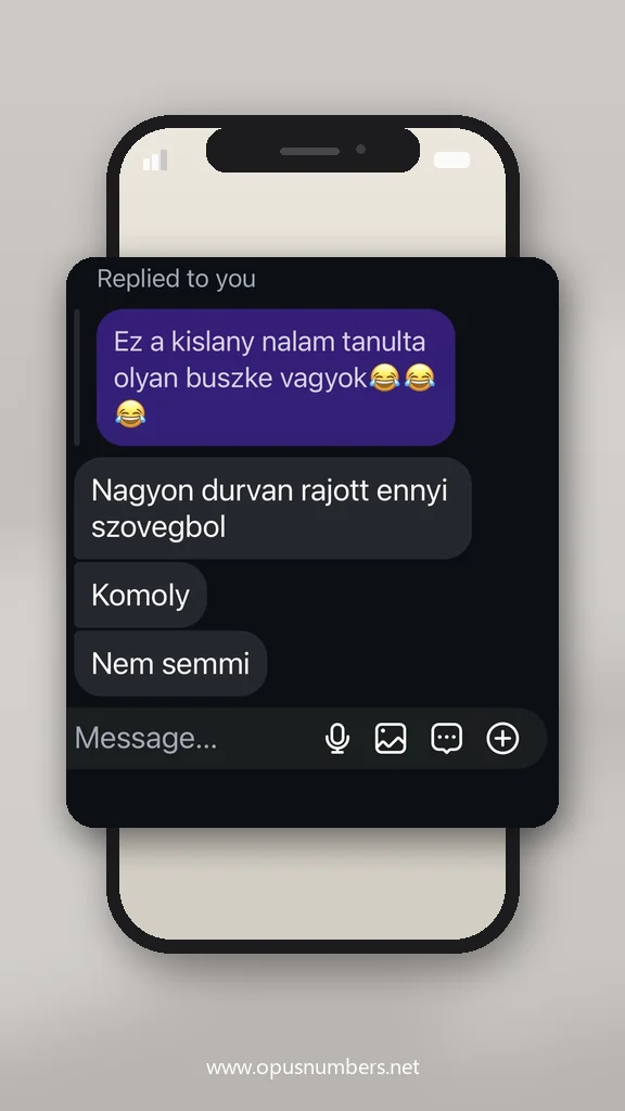 Ügyfélvélemény a numerológiai elemzésről (üzenet képernyőképe) – 14. / 38