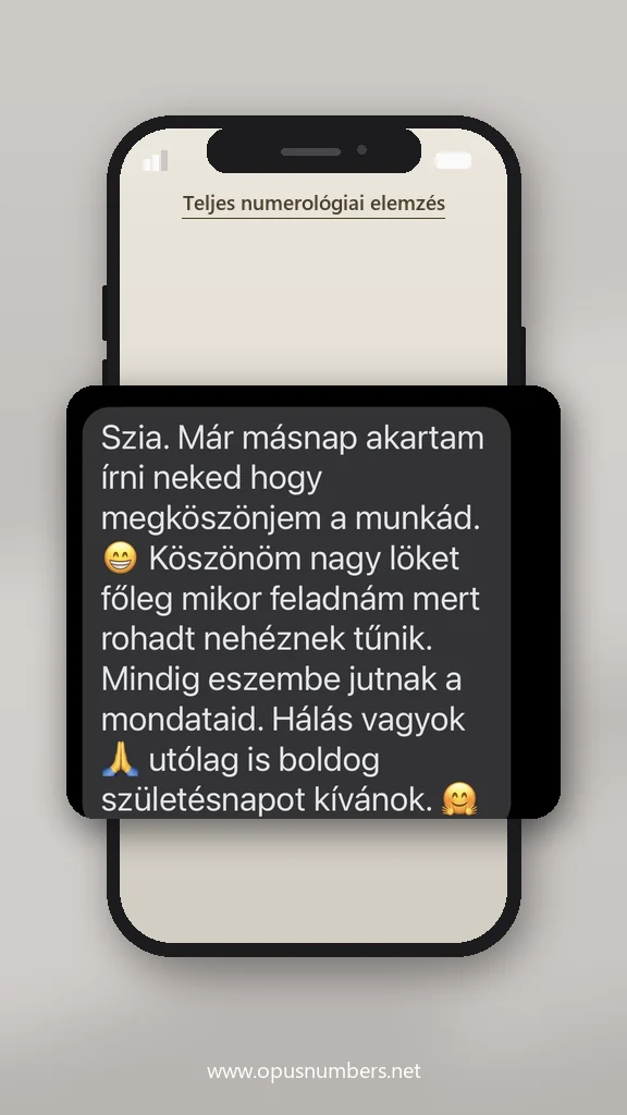 Ügyfélvélemény a numerológiai elemzésről (üzenet képernyőképe) – 17. / 38