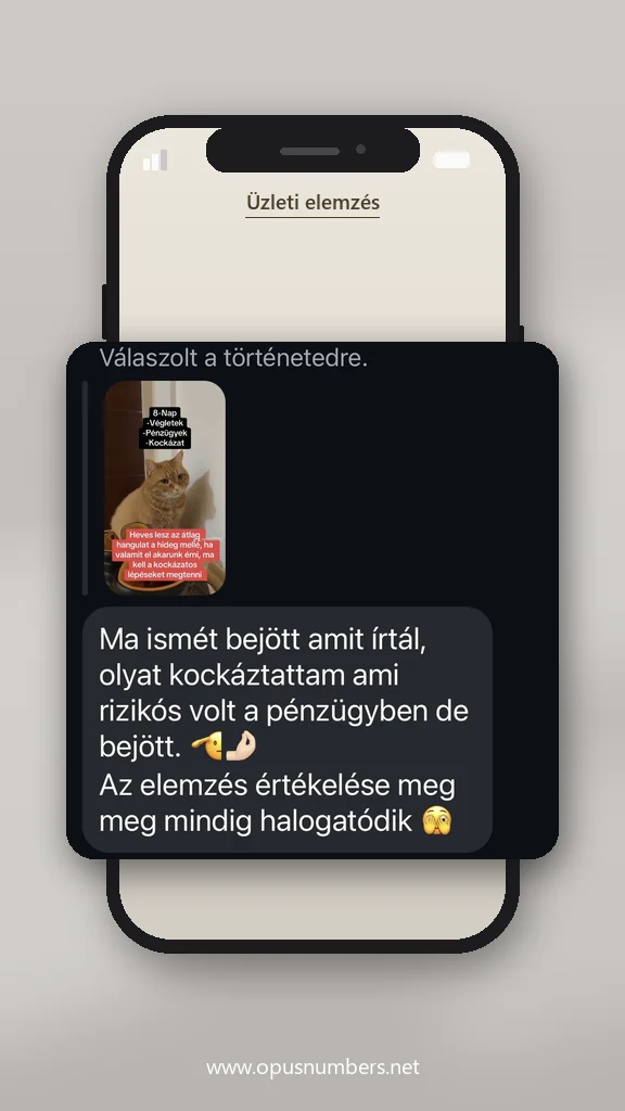 Ügyfélvélemény a numerológiai elemzésről (üzenet képernyőképe) – 20. / 38