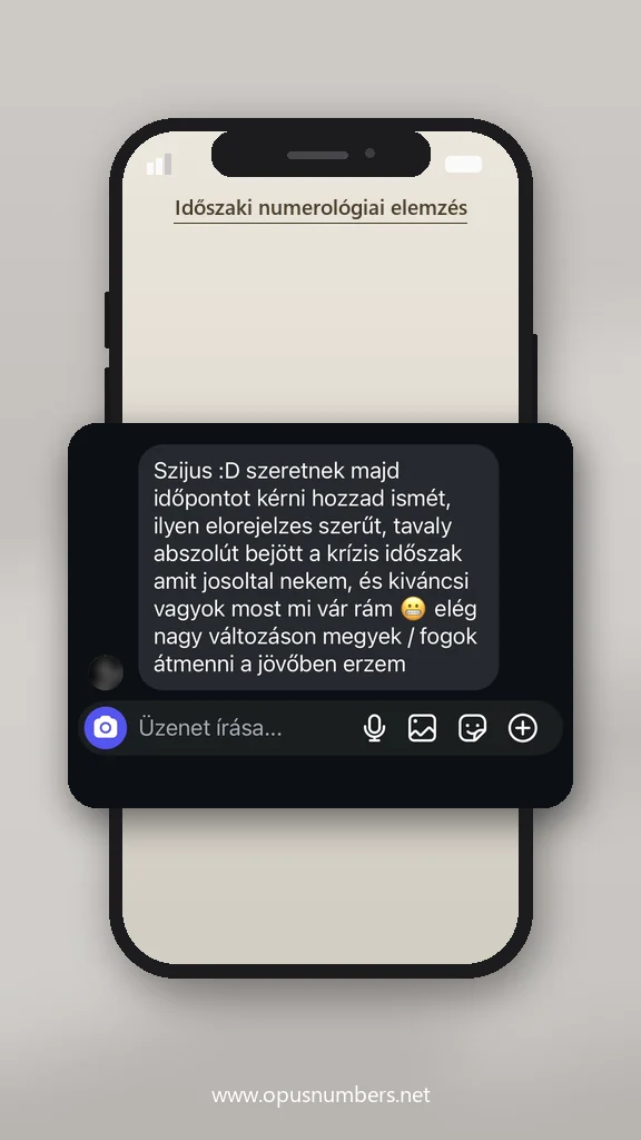 Ügyfélvélemény a numerológiai elemzésről (üzenet képernyőképe) – 22. / 38