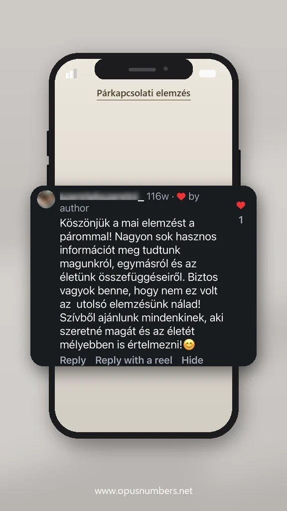 Ügyfélvélemény a numerológiai elemzésről (üzenet képernyőképe) – 6. / 38